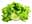 09134816: Salade Feuille de Chêne Blonde C1 FR 1pc