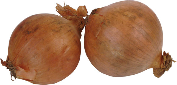 onions-big.jpg